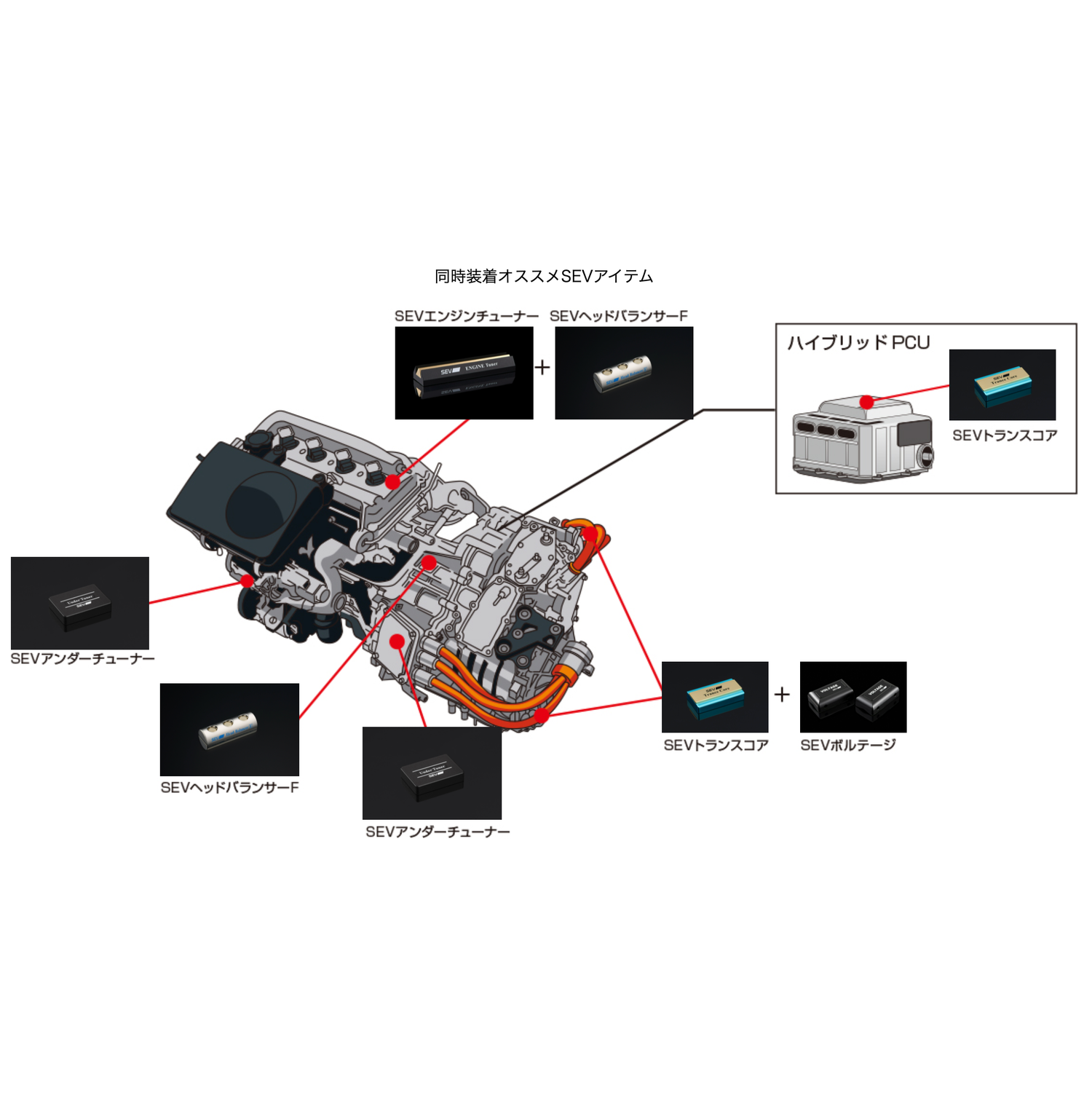 SEV アンダーチューナー【SEV SPORTS 公式WEBショップ】 – SEV SPORTS SEV アンダーチューナー【SEV SPORTS 公式WEBショップ】 – SEV SPORTS