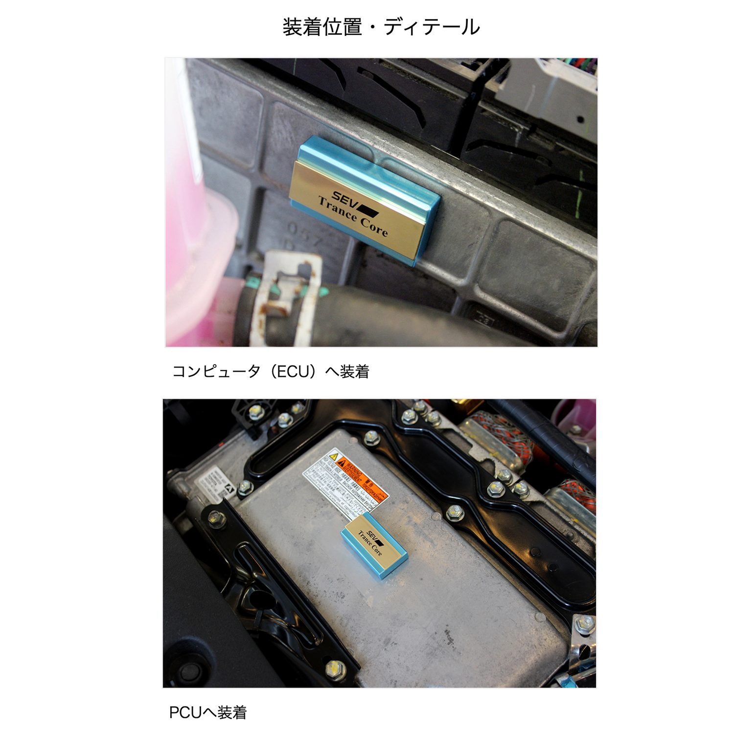 SEV トランスコア【SEV SPORTS 公式WEBショップ】 – SEV SPORTS SEV トランスコア【SEV SPORTS 公式WEBショップ】 – SEV SPORTS